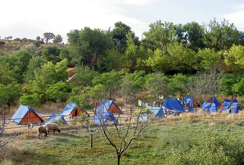 cuenta Confusión predicción Zonas donde acampar en la provincia de Alicante » Historias de mi ciudad