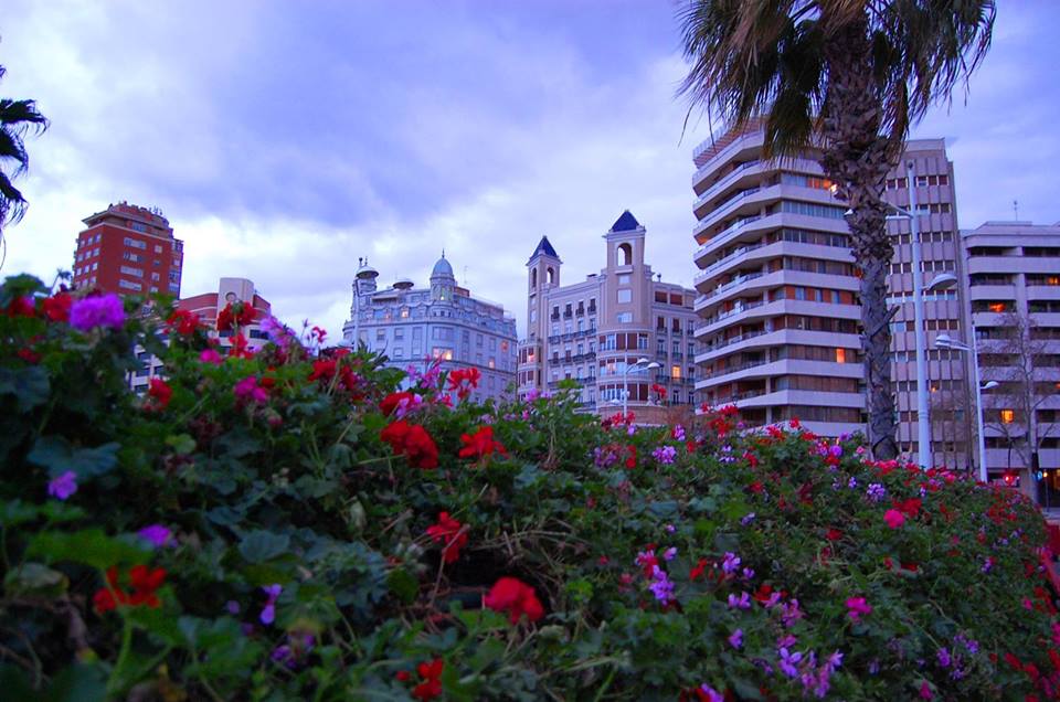 #Valencia Flores, Luz y Color. Gracias Raquel May