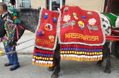San Antón en Massanassa, Valencia.