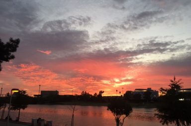 El río de la vida, el Guadalquivir. Por Soledad Burgos